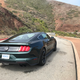 Illustration for article titled The 2019 Ford Mustang Bullitt Is Everything You Want It to Be